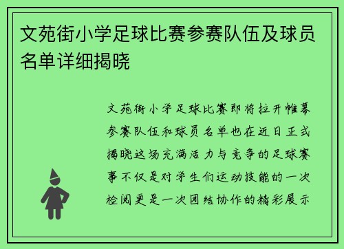 文苑街小学足球比赛参赛队伍及球员名单详细揭晓