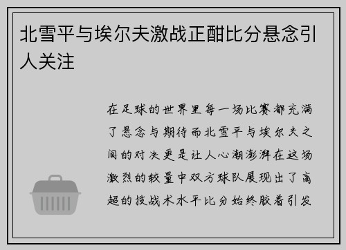 北雪平与埃尔夫激战正酣比分悬念引人关注